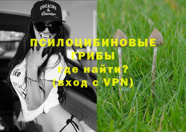 скорость Бородино